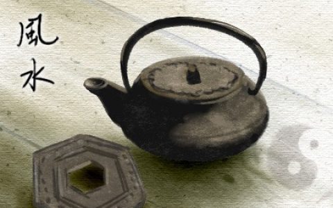 老家种那些树风水好又旺财 蓬莱松招财转运长寿吉祥