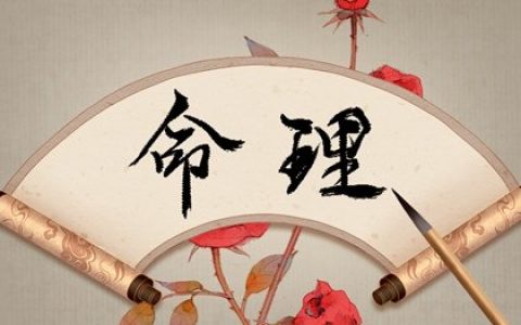 时辰论命 戊子日生于寅时 寅时出生聪明常与贵人交往