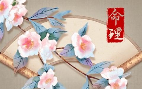 八字算命 癸巳日生于寅时 寅时出生通身旺月命主大贵