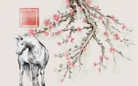 穷其一生碌碌无为的生肖 属猪属牛属兔