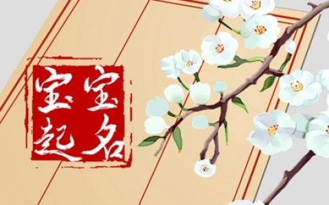 从周易角度出发，为属兔男孩起一个前程似锦大富大贵的名字