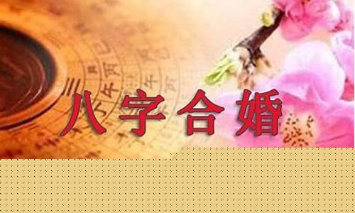 八字合婚指南：让爱情更具成功率(八字合婚的七个步骤)