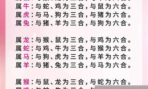 婚姻配对的关键要素大揭秘(婚姻配对男女)