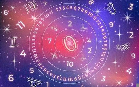 易卜居免费八字算命网盘(易卜居免费八字算命网下载)