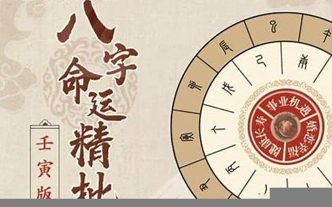 八字大贵八字算命网(大贵八字命例)