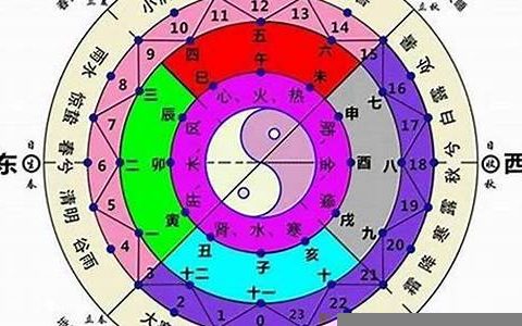 八字算命网华盖(八字算命网)