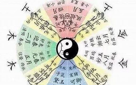 断掌生辰八字算命网