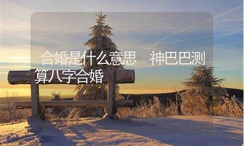 神巴巴八字合婚算命网(八字算命婚姻免费测试 神巴巴八字算命网)
