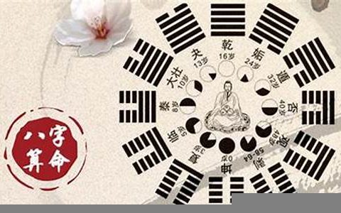 三藏生辰八字算命网(三藏生辰八字算命网查询)