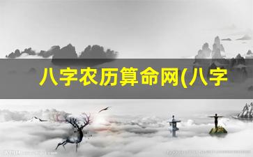 八字农历算命网(八字农历算命)