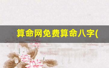 算命网免费算命八字(算命网免费算命大全婚姻)