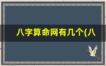 八字算命网有几个(八字算命详细免费版)