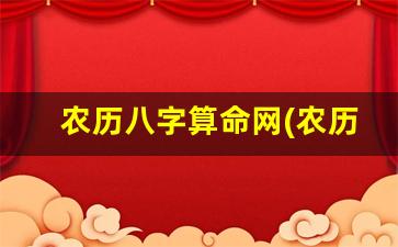 农历八字算命网(农历在线查询八字)