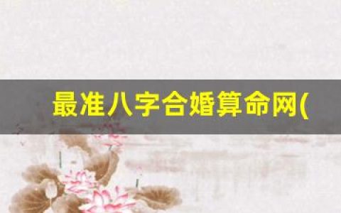 最准八字合婚算命网(最准的八字合婚免费)