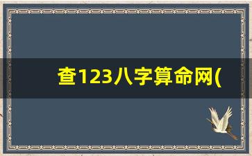 查123八字算命网(在线查八字免费)