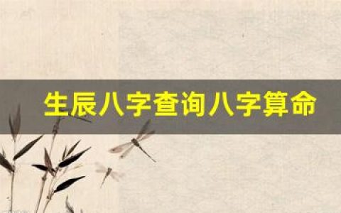 生辰八字查询八字算命网(生辰八字算命口诀)