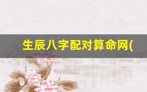 生辰八字配对算命网(生辰八字算命婚姻配对免费测试)