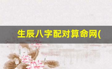 生辰八字配对算命网(生辰八字算命婚姻配对免费测试)