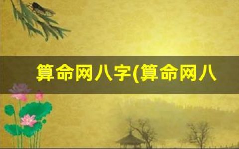 算命网八字(算命网八字排盘)
