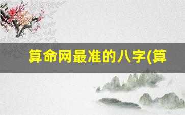 算命网最准的八字(算命准的网站)