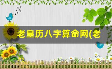 老皇历八字算命网(老黄历免费八字算命)
