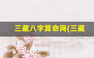 三藏八字算命网(三藏八字算命免费测八字)