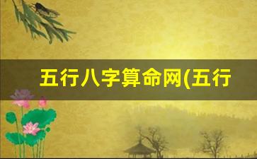 五行八字算命网(五行八字查幸运颜色)