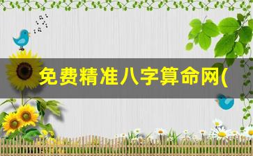 免费精准八字算命网(八字算命免费测试精准)