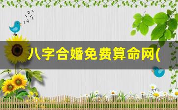 八字合婚免费算命网(八字合婚免费算命网官网)