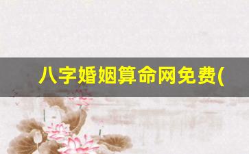 八字婚姻算命网免费(八字婚姻算命网免费查询)