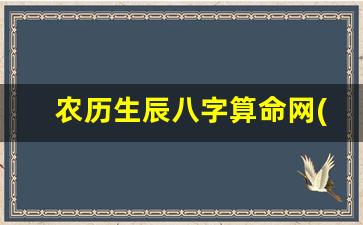 农历生辰八字算命网(农历生辰八字算命网站)