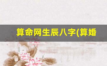 算命网生辰八字(算婚姻姻缘免费)