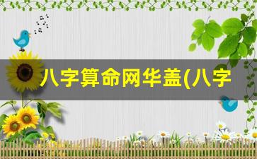 八字算命网华盖(八字算命免费测八字婚姻)