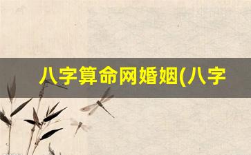 八字算命网婚姻(八字算命免费测八字软件)
