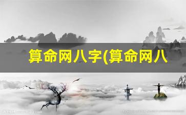 算命网八字(算命网八字大运)