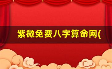 紫微免费八字算命网(紫微八字算命app)