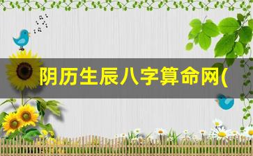 阴历生辰八字算命网(阴历生辰八字查询)