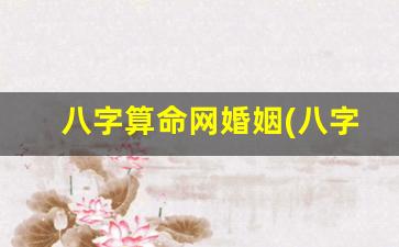 八字算命网婚姻(八字算命是科学还是迷信)