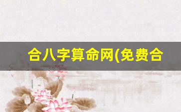 合八字算命网(免费合八字在线)