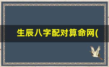 生辰八字配对算命网(生辰八字查询配对八字算命)