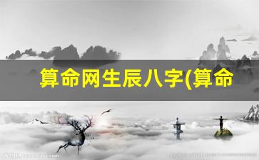 算命网生辰八字(算命网生辰八字免费)