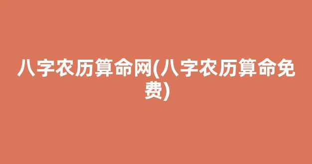 八字农历算命网(八字农历算命免费)