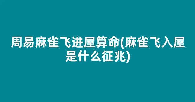 周易麻雀飞进屋算命(麻雀飞入屋是什么征兆)