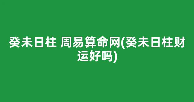 癸未日柱 周易算命网(癸未日柱财运好吗)