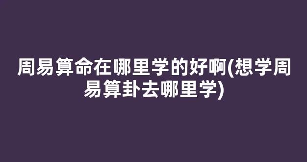 周易算命在哪里学的好啊(想学周易算卦去哪里学)